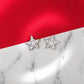 Zircon Star Studs