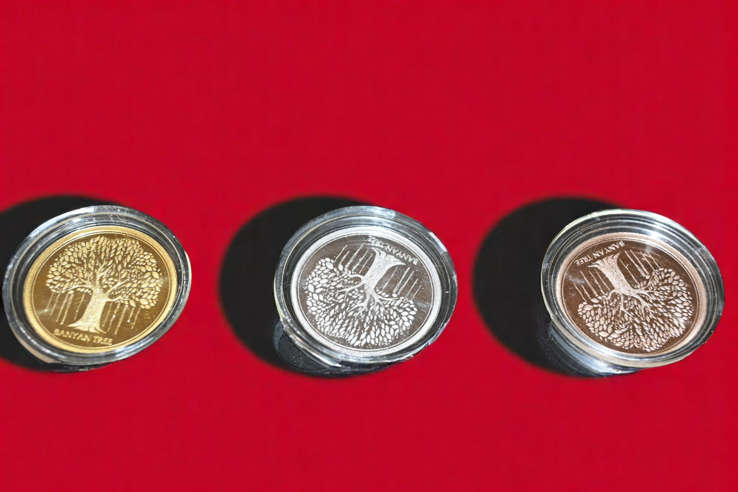 Banyan Tree, Tri-Color, Round Shape, Set of 3 Coins (3 Gram Each), 999 Purity, Yellow Box - Ready To Ship